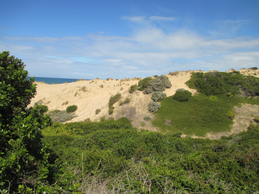 0 Bedroom Property for Sale in Nautilus Bay Western Cape